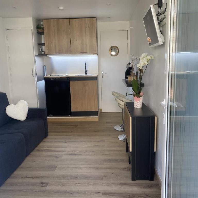 Studio cosy Cannes à 250 m de la plage, pointe Croisette - Appartement 1 Chambre - 22