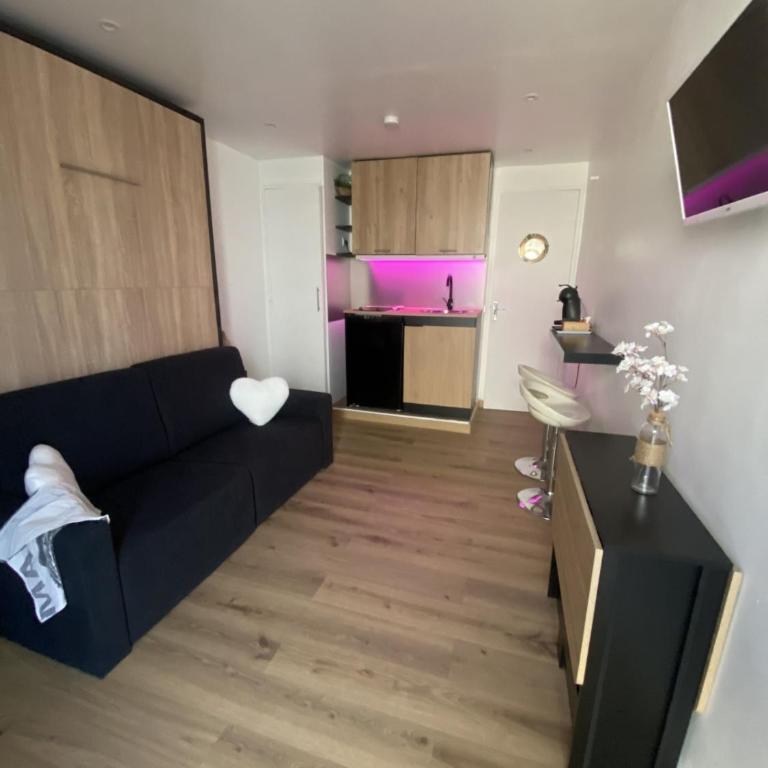 Studio cosy Cannes à 250 m de la plage, pointe Croisette - Appartement 1 Chambre - 1
