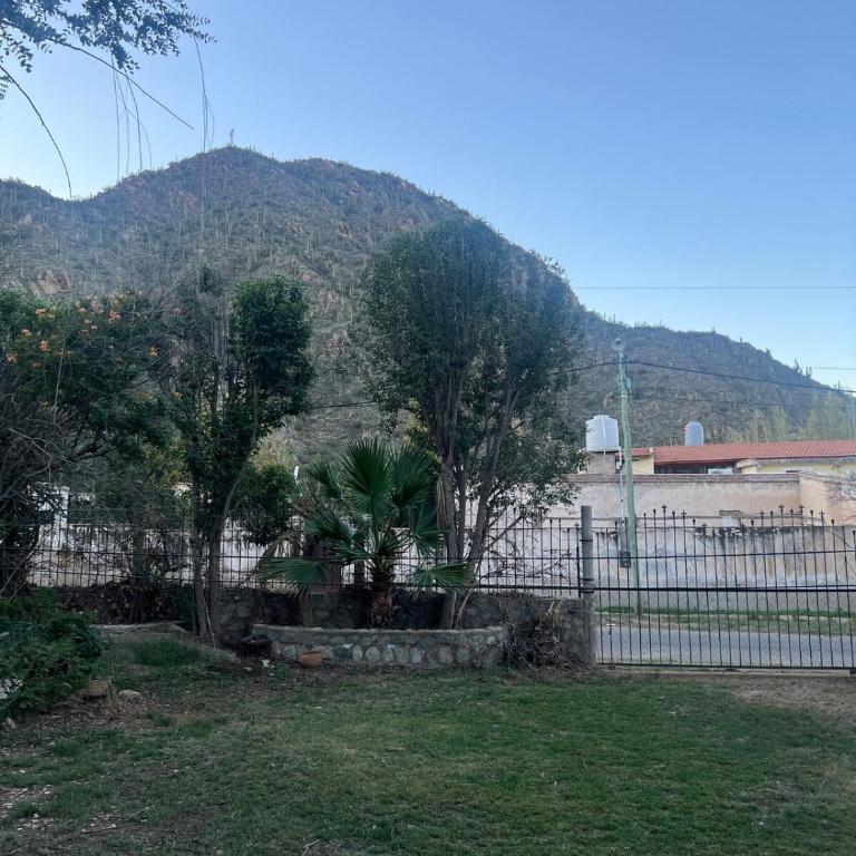 Tu lugar en la montaña Ruta40 - Rental B Guest House - Apartamento de 1 dormitorio - 6