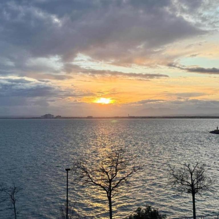 Apartment with sea views in Benalbeach - Two-Bedroom Apartment - 39