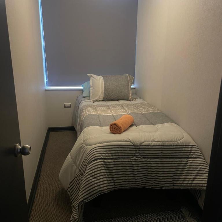 Departamento amoblado Concepción - Apartamento de 3 dormitorios - 14