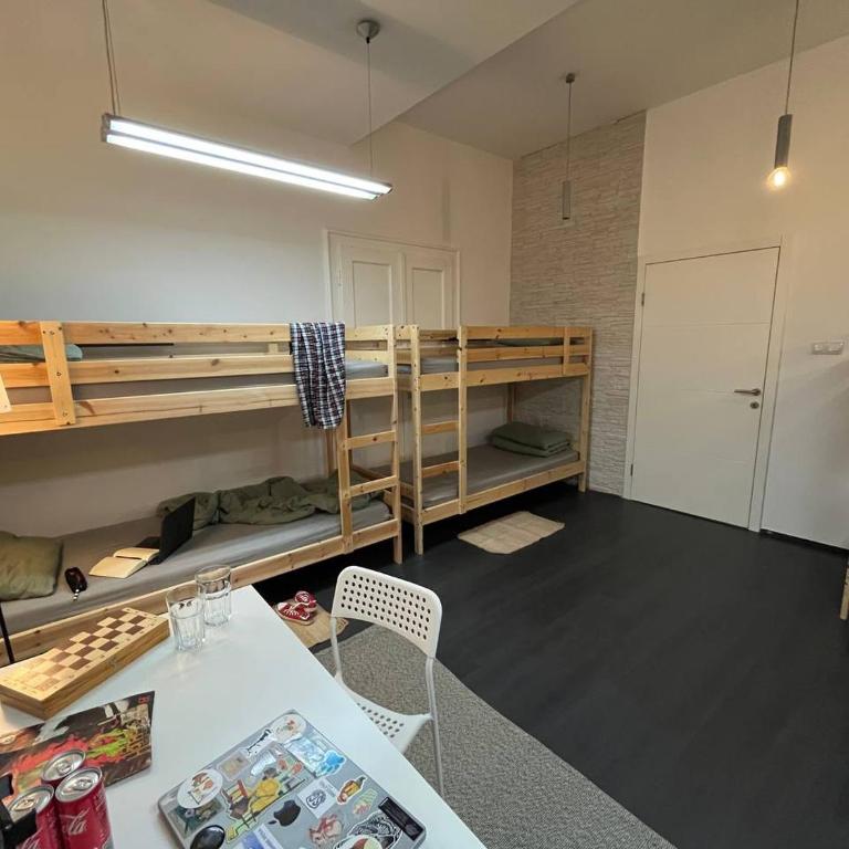 Brodsky's Cat Art Hostel - Krevet za Jednu Osobu u Spavaonici - 8