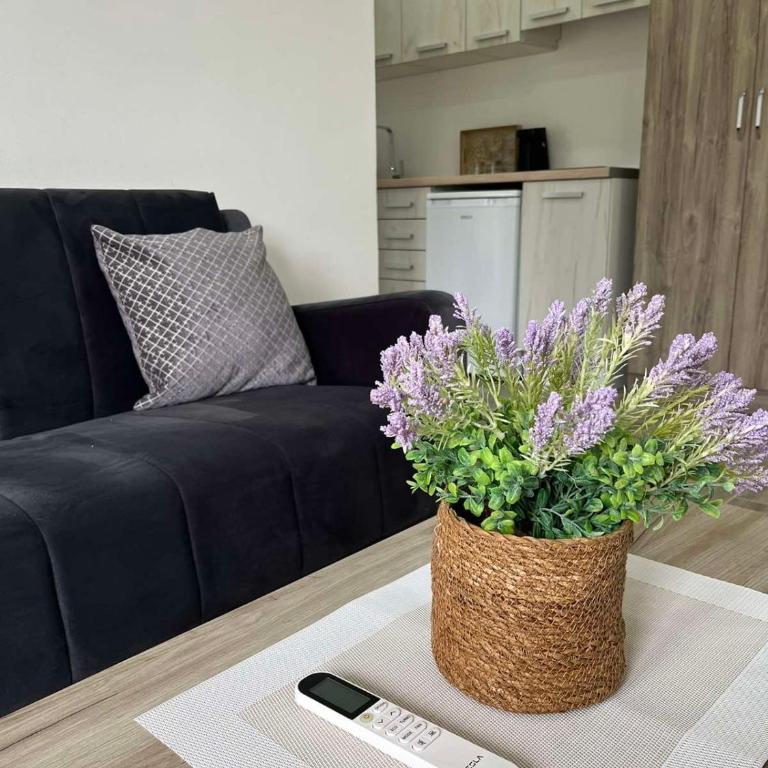 Demiri Rr - One-Bedroom Apartment with Terrace - 1
