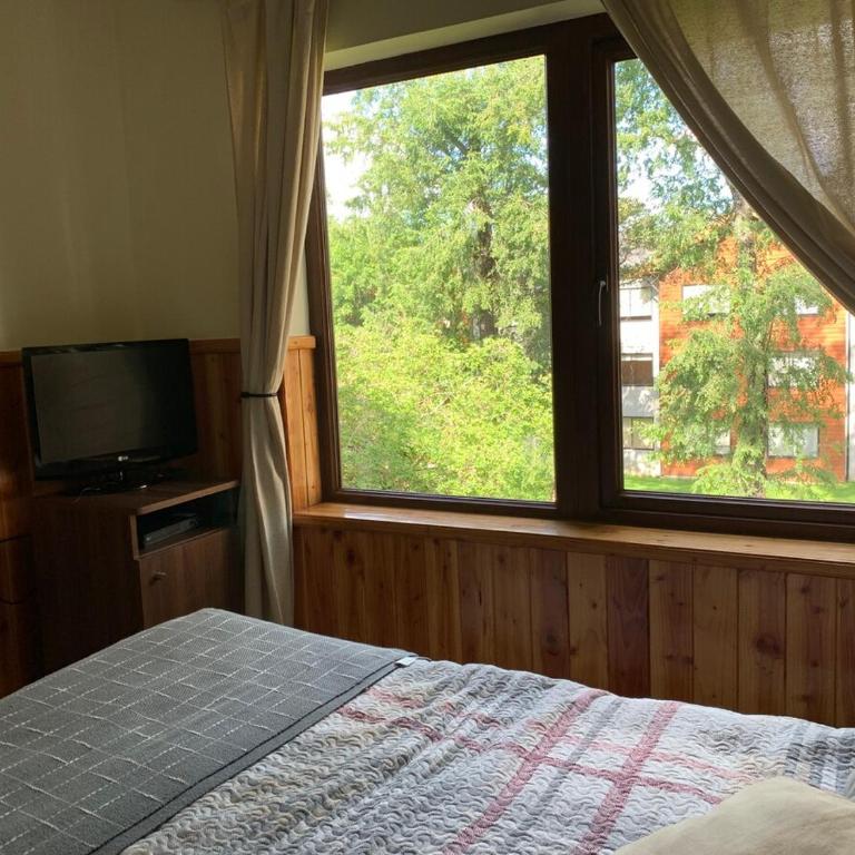 Natulareza y relajo-muy cercano al centro de Pucón - Apartamento con vistas al jardín - 4