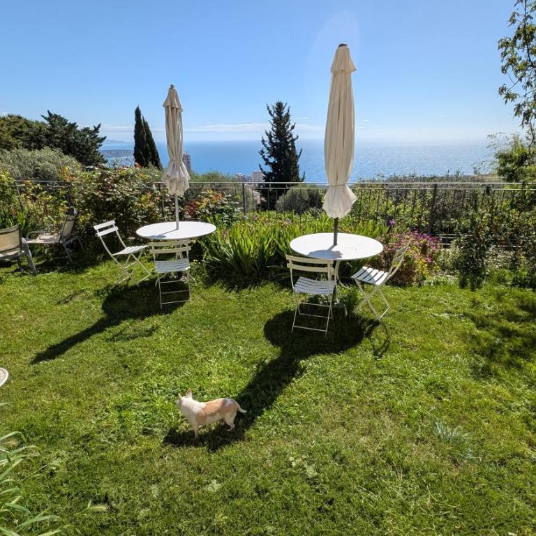 Le Mas d'Angeline-Vue mer panoramique, jardin partagé, parking, voiture indispensable, route étroite et pentue, à 10 min de Monaco - One-Bedroom Apartment with bathtub - with sea view - 19