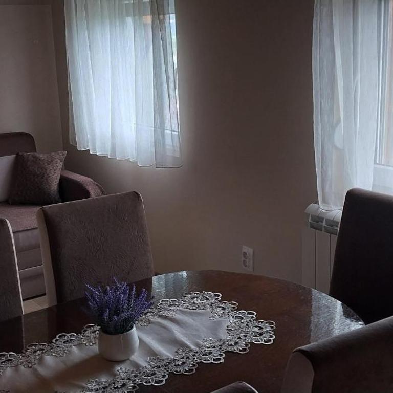 Apartmani Radovanović - Apartment with Terrace - 3