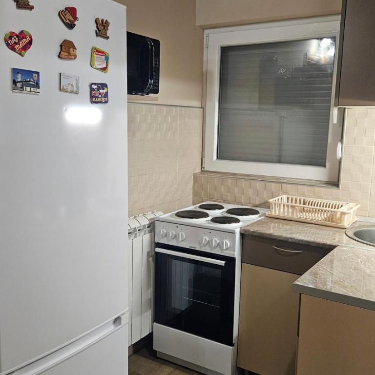 Apartmani Radovanović - Apartment with Terrace - 7