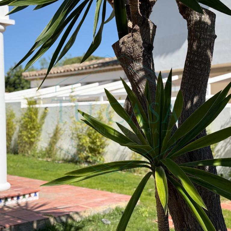 Villa La Marea - Casa de 4 dormitorios - 47