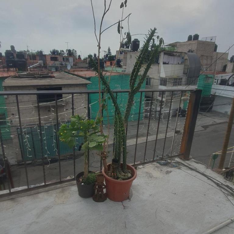 Casitas - One-Bedroom Apartment - 18