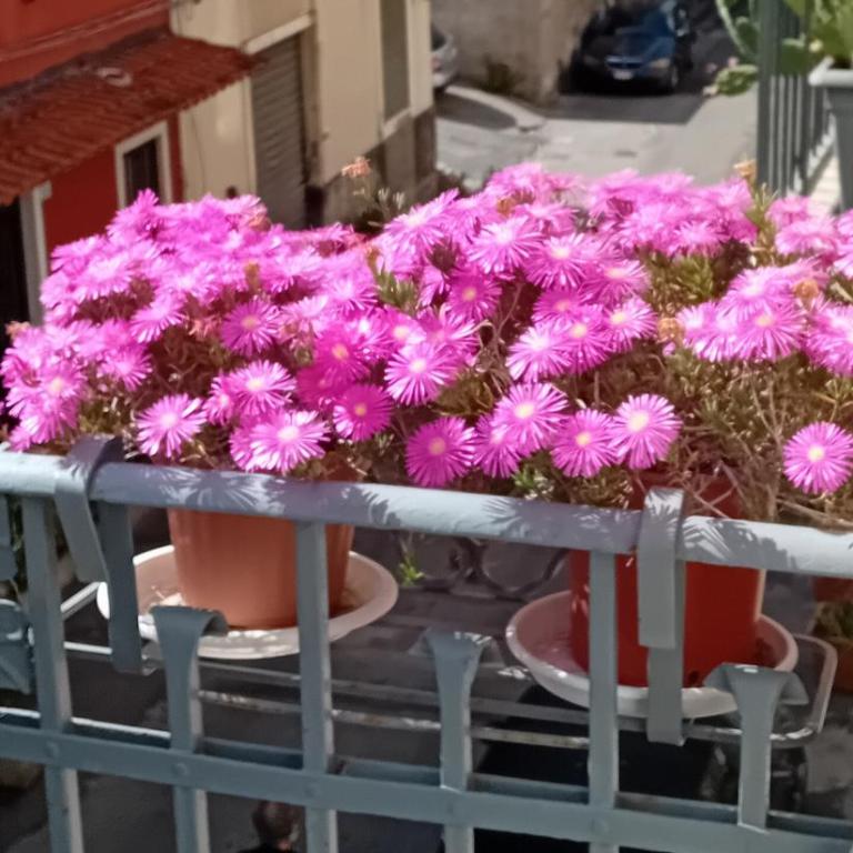 La casuzza di Tindaro - Appartamento con 2 Camere da Letto - 59
