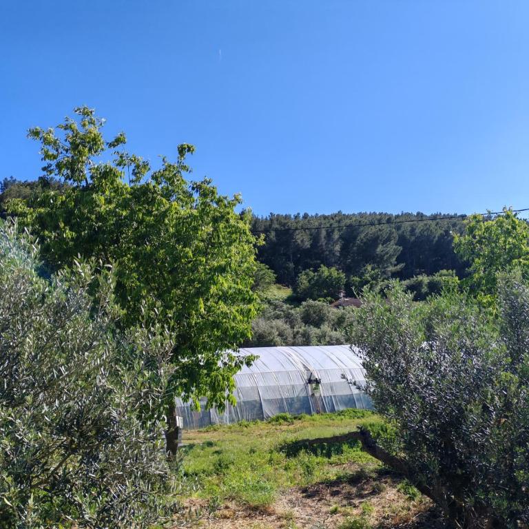 Yachting lodge 83 - Tent - 11