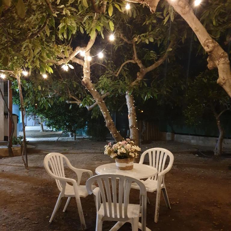 Mi niña Lola - Casa de 2 dormitorios - 1