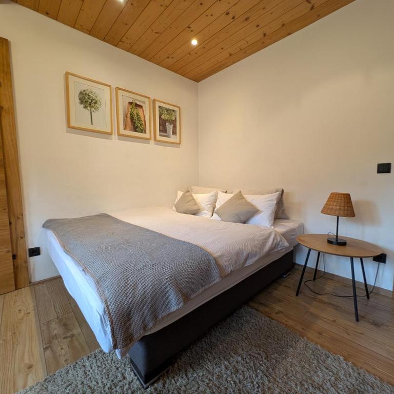 Appartement Hartl - Apartamento de 1 dormitorio con terraza - 8