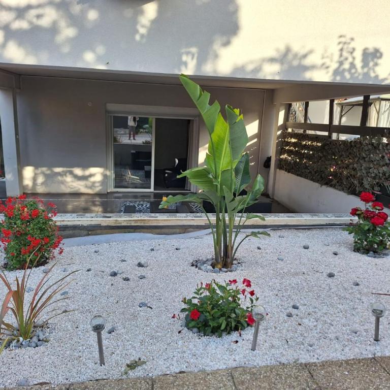 Calanques de Sormiou - Appartement - Rez-de-Chaussée - 6