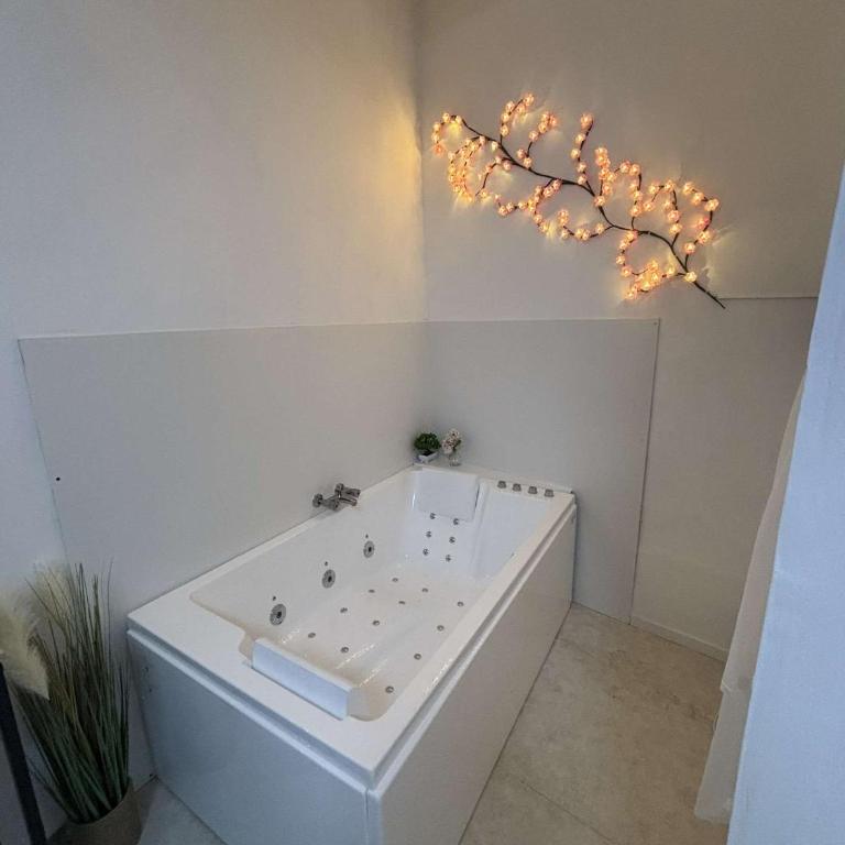 Tokyo love - Appartement 1 Chambre - 2
