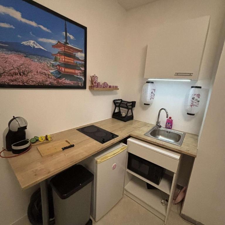 Tokyo love - Appartement 1 Chambre - 10