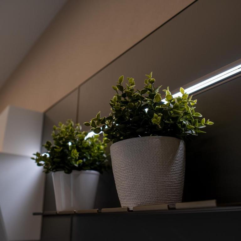 Gavi Suites - One-Bedroom Apartment - 18