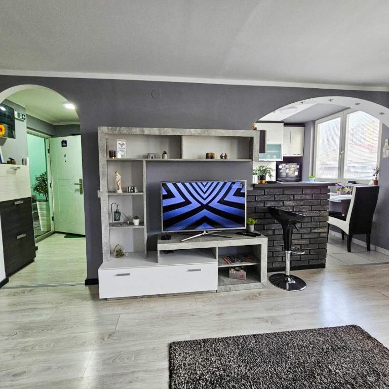 Savić Apartment CENTER - PARKING FREE - Apartman sa 1 Spavaćom Sobom - 12