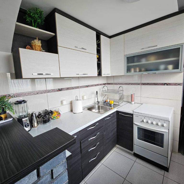 Savić Apartment CENTER - PARKING FREE - Apartman sa 1 Spavaćom Sobom - 17