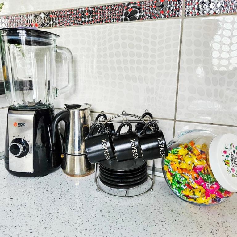 Savić Apartment CENTER - PARKING FREE - Apartman sa 1 Spavaćom Sobom - 22