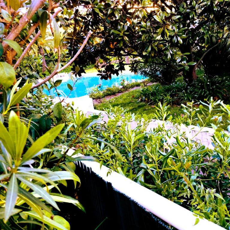 Home2Sea - Piscine, Jardin, studio cabine, 1 canapé lit convertible 2 ADULTES, 1 lit superposé triple 3 ENFANTS ou ADOS - Appartement 1 Chambre - 26
