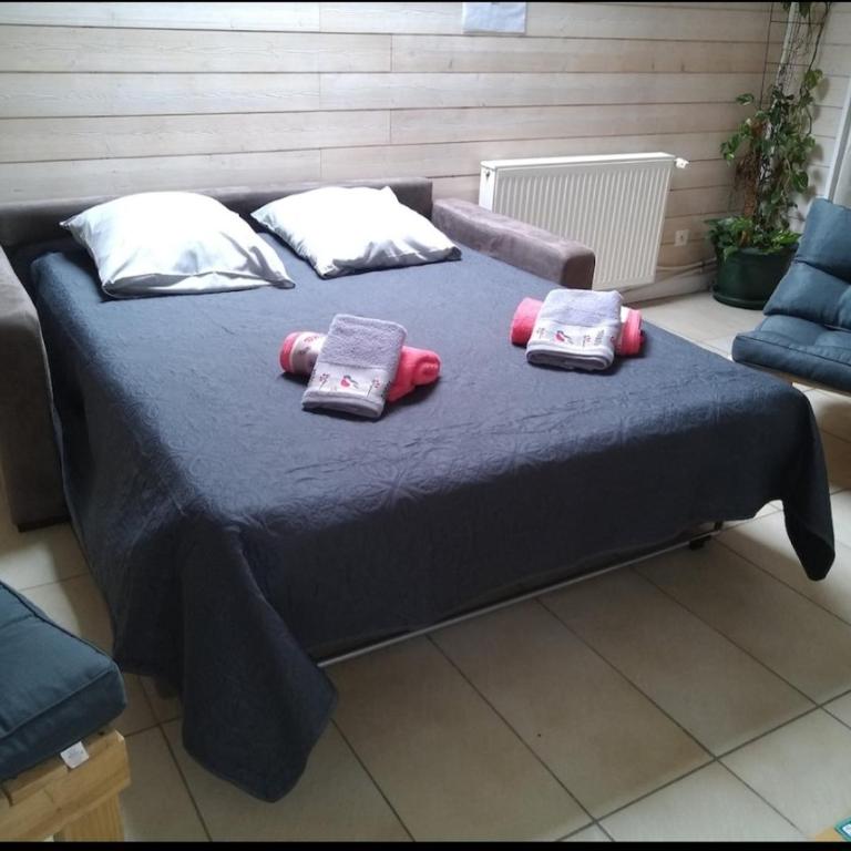 Vue sur les montagnes - Appartement 2 Chambres - 4