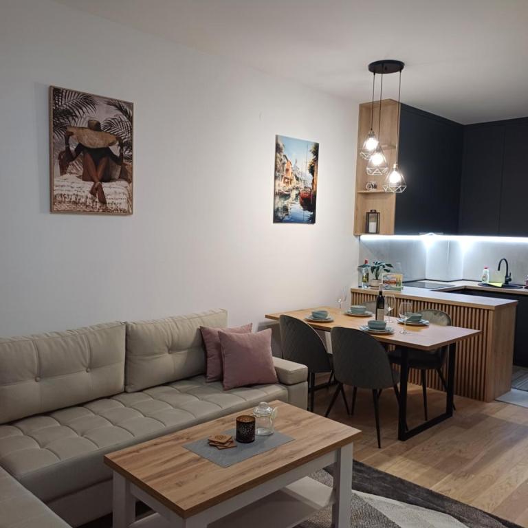 Apartman Pavle - Apartman sa 1 Spavaćom Sobom - 9