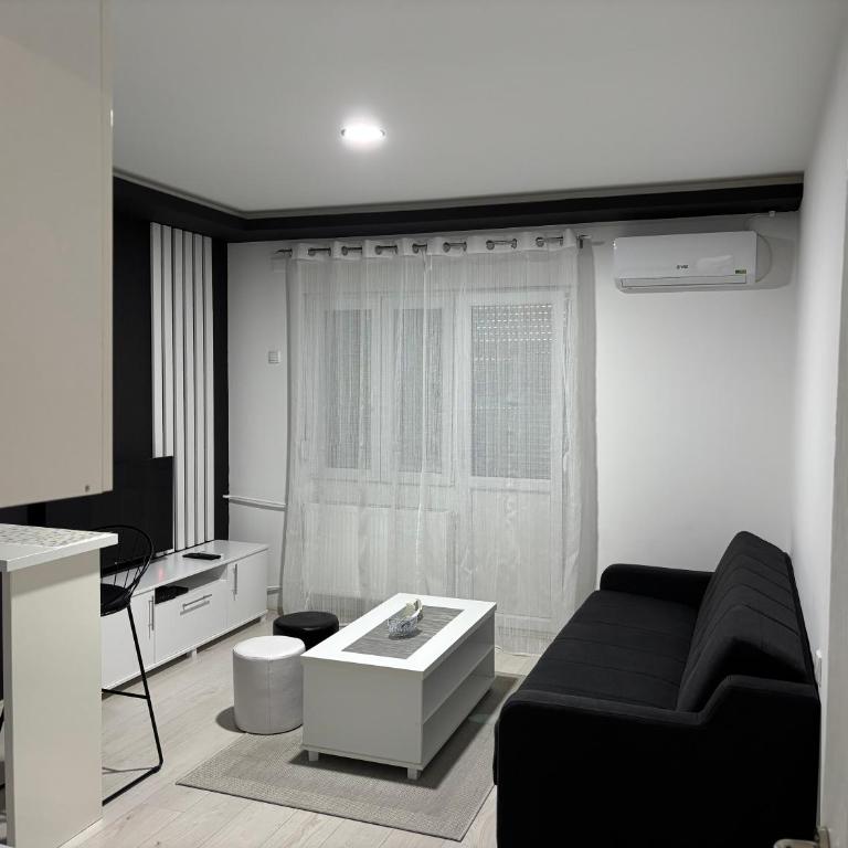 Apartman Kostić - One-Bedroom Apartment - 2