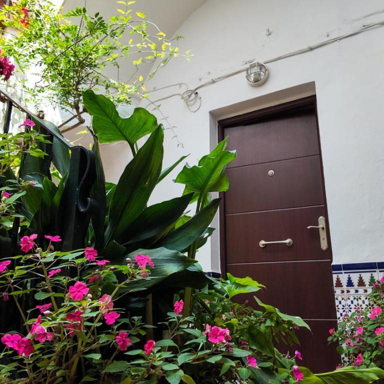 Apartamento Ipanema - Apartamento de 1 dormitorio - 1
