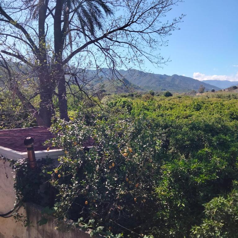 Etna view Villa Letizia a Taormina - Three-Bedroom House - 17