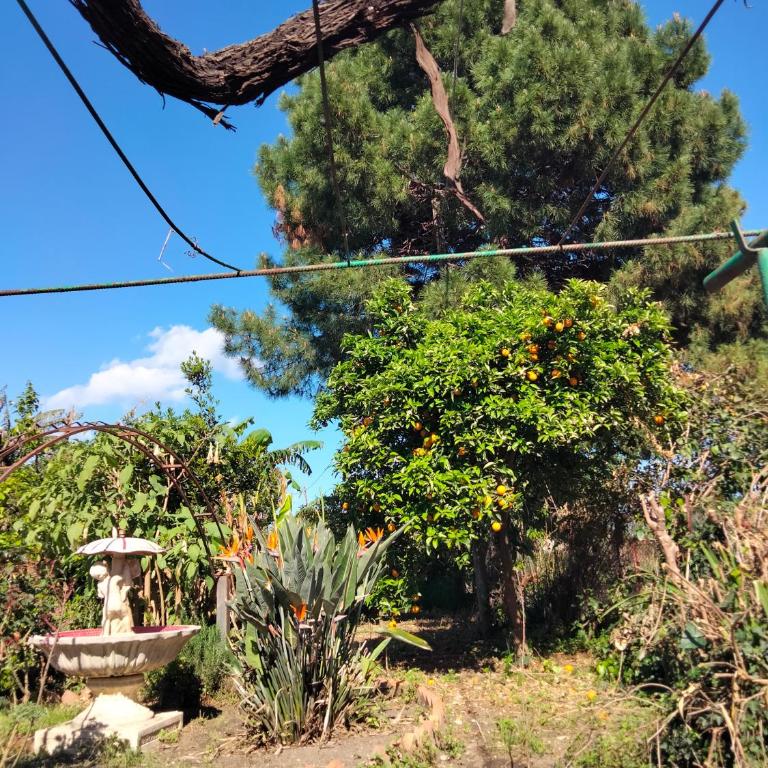 Etna view Villa Letizia a Taormina - Three-Bedroom House - 35