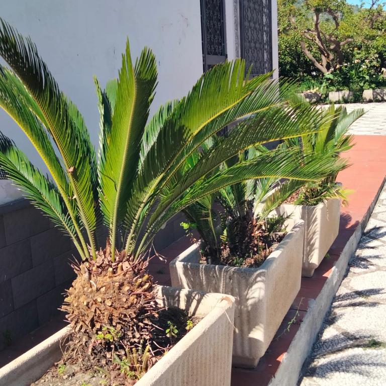 Etna view Villa Letizia a Taormina - Three-Bedroom House - 45