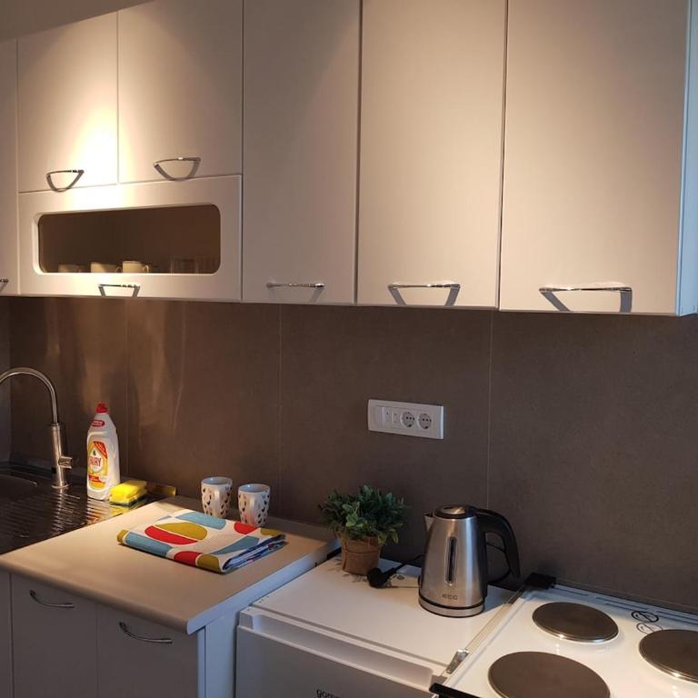 Spacious and comfortable apartment - Apartman sa 1 Spavaćom Sobom - 6