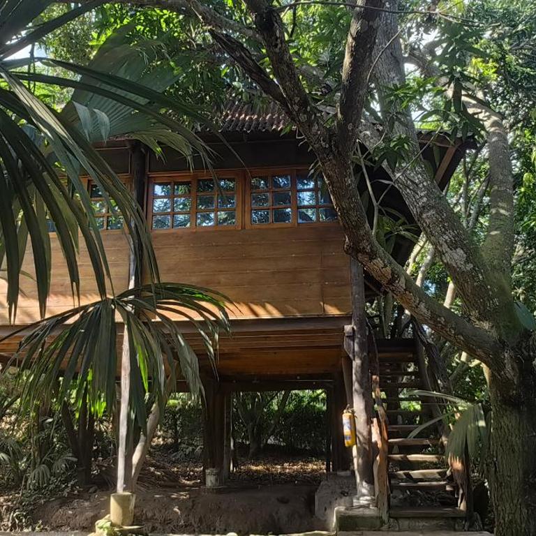 Finca Los Mangos - Bungalow - 1