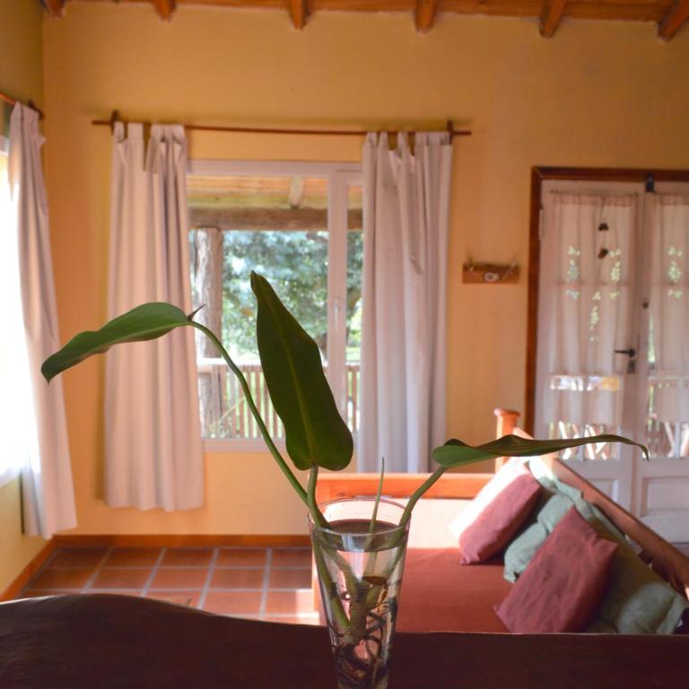 Complejo Dulcería El Cazador y cabañas - Chalet - 7