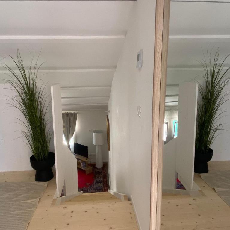 Sant Antonio Elegant Stay - Appartamento con 1 Camera da Letto - 18