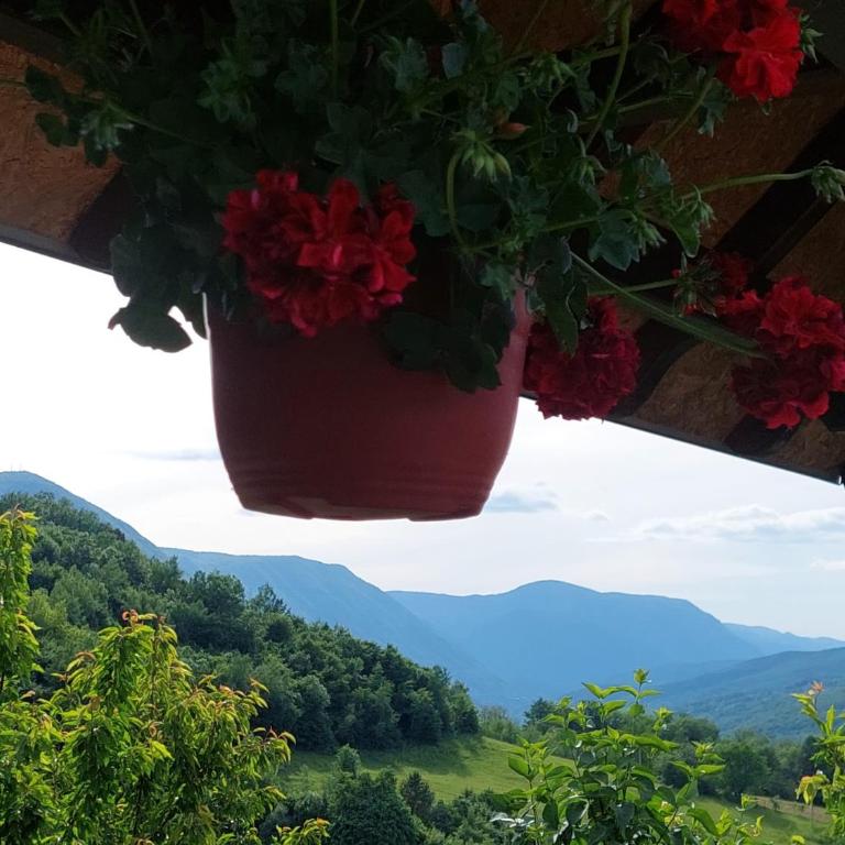 Brvnara Sofiana - Kuća sa 2 Spavaće Sobe - 38