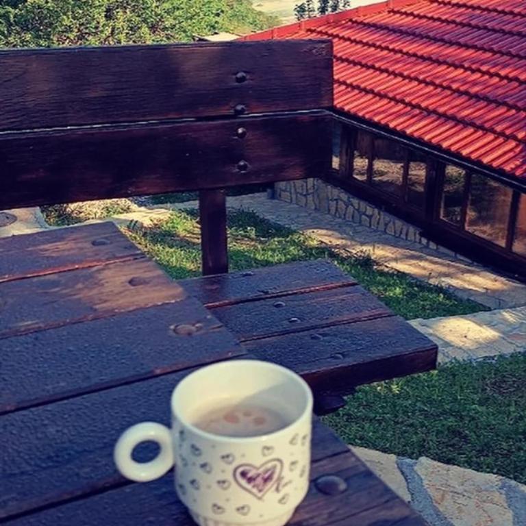 Brvnara Sofiana - Kuća sa 2 Spavaće Sobe - 5