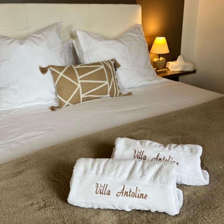 Antoline Bed and breakfast - Chambre Double - 11