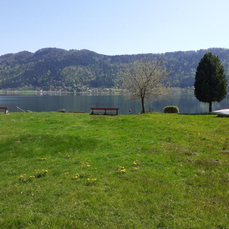 Sorgner's Seeblick - Apartment mit 1 Schlafzimmer - 19
