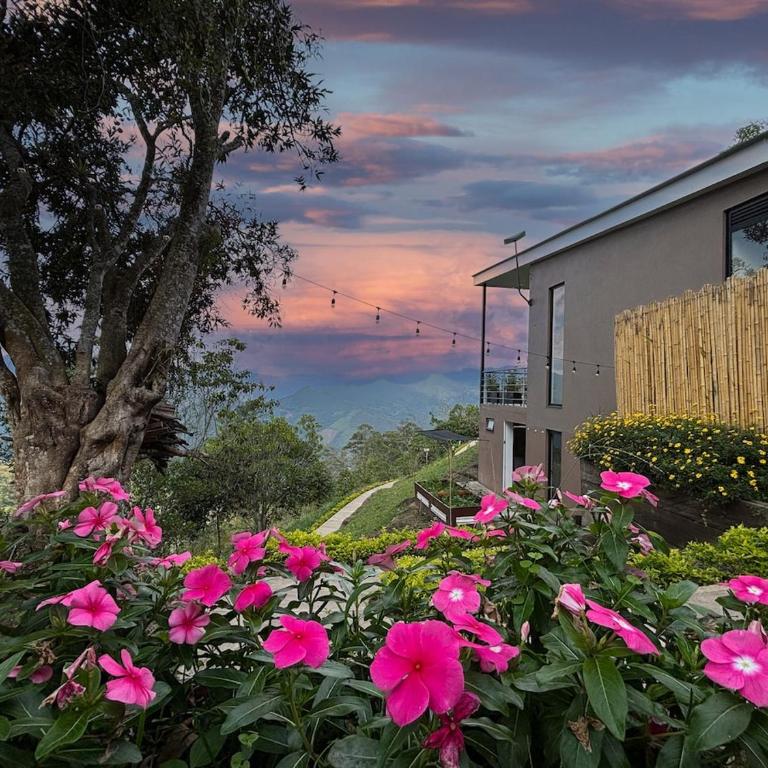Mandarina Natural House - Chalet de 2 dormitorios - 5