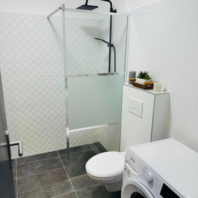 Fühl dich wohl im Salzkammergut - Appartement 1 Chambre - 4