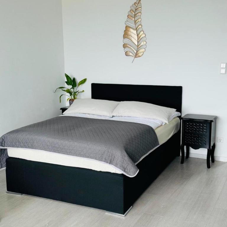 Fühl dich wohl im Salzkammergut - Appartement 1 Chambre - 6
