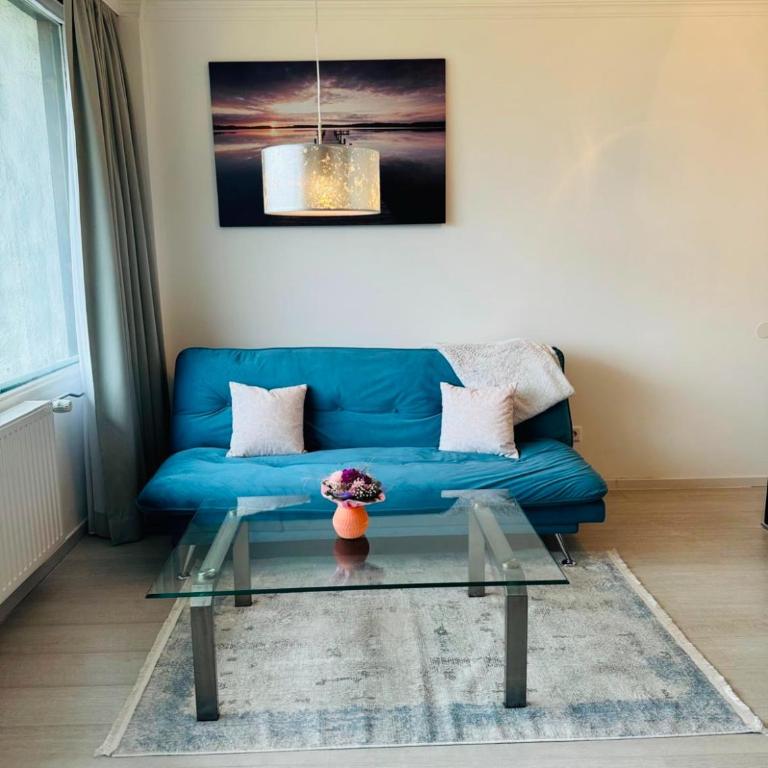 Fühl dich wohl im Salzkammergut - Appartement 1 Chambre - 8