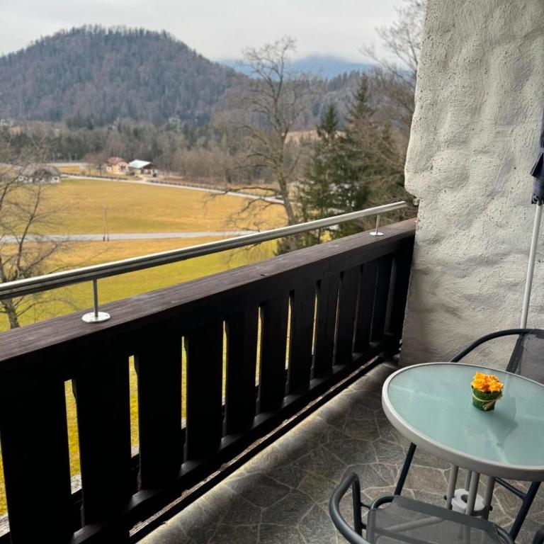 Fühl dich wohl im Salzkammergut - Appartement 1 Chambre - 11