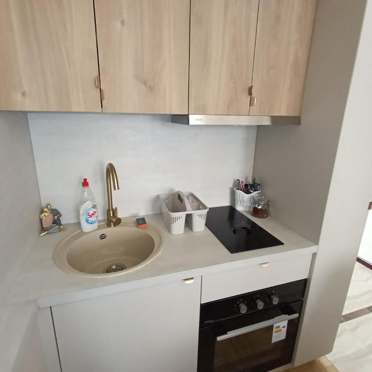 Gold Studio - Apartman sa 1 Spavaćom Sobom - 3