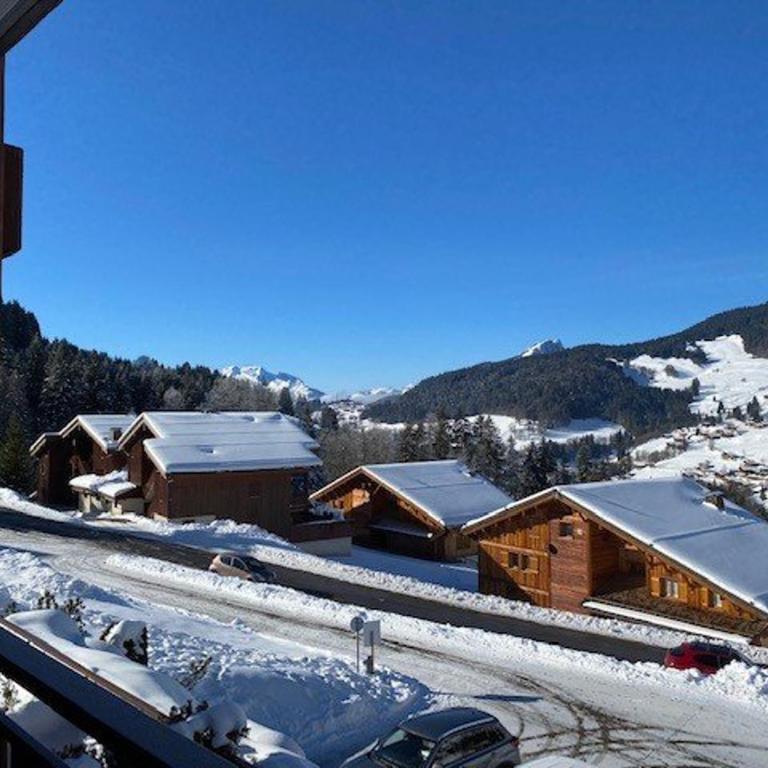 Studio rénové 4 pers - accès direct aux pistes - FR-1-458-224 - Estudio - 16
