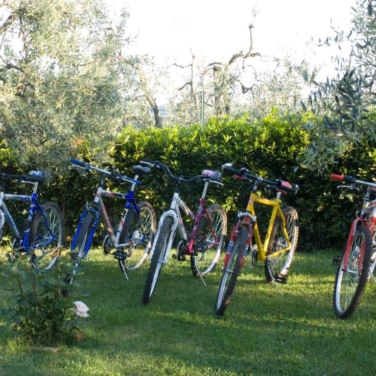 Agriturismo Macinatico - Two-Bedroom Apartment - 16