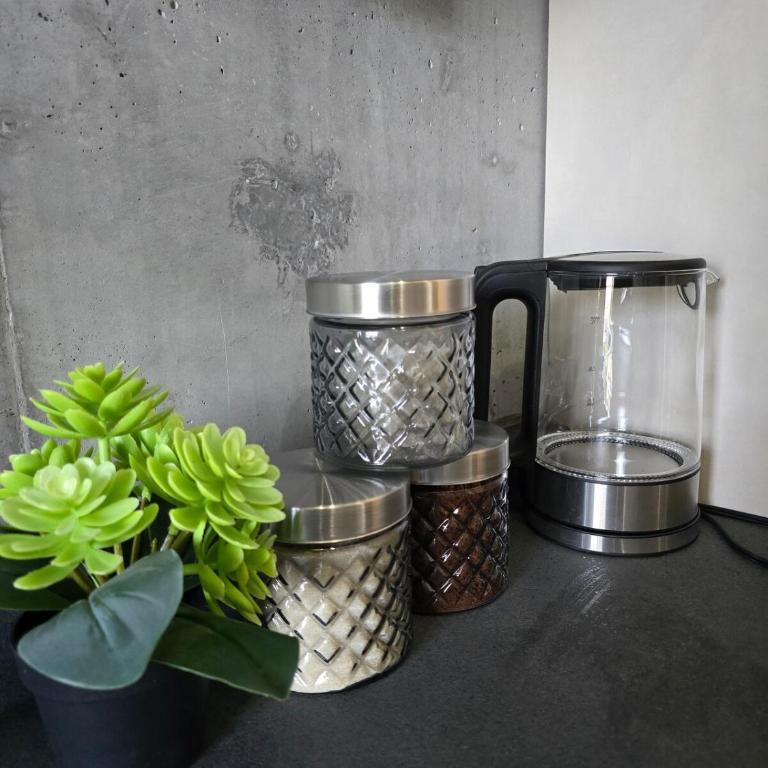 Bonito Loft Barrio W Centro Monterrey - Loft - 19