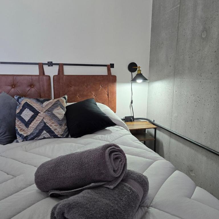 Bonito Loft Barrio W Centro Monterrey - Loft - 35